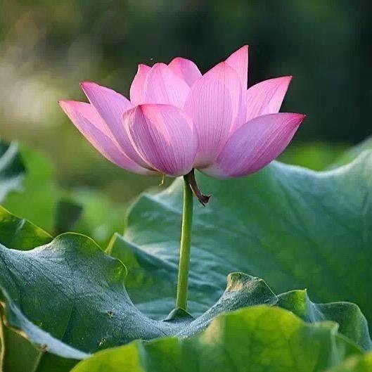 夏姐酒坊💖