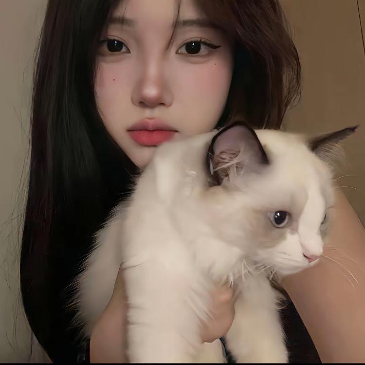 糖芯招财喵
