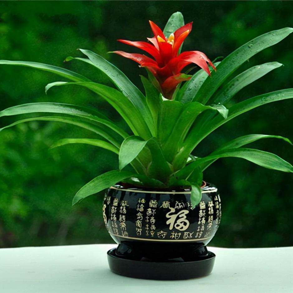 坚持下去