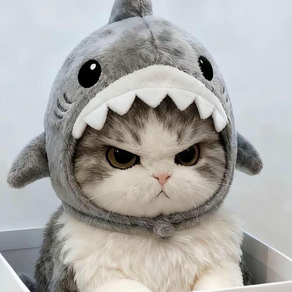 耳朵会换的老杨（外卖兼职版）