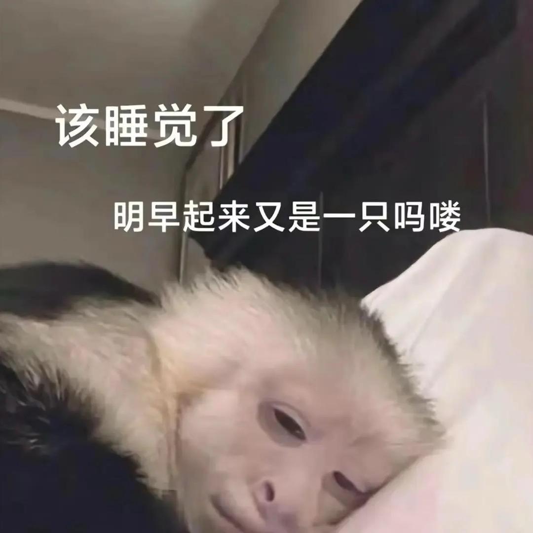 西安Y老师