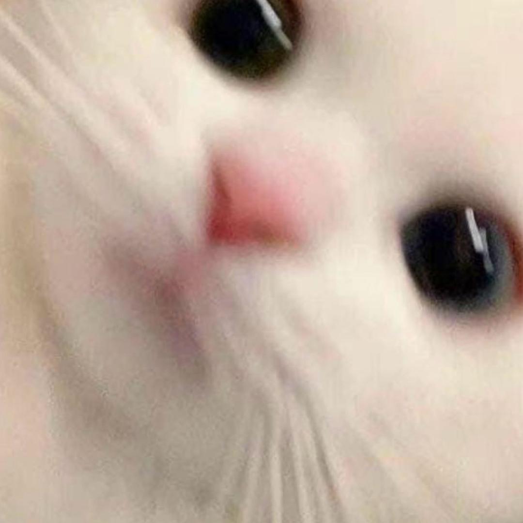 小熊