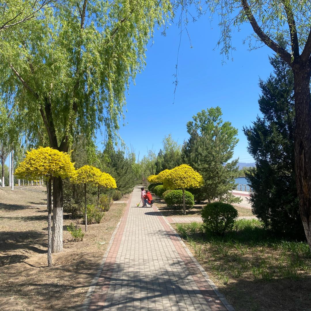 五台⛰️小五