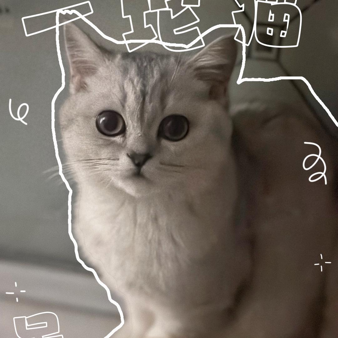 🥟饺子是只猫🐱