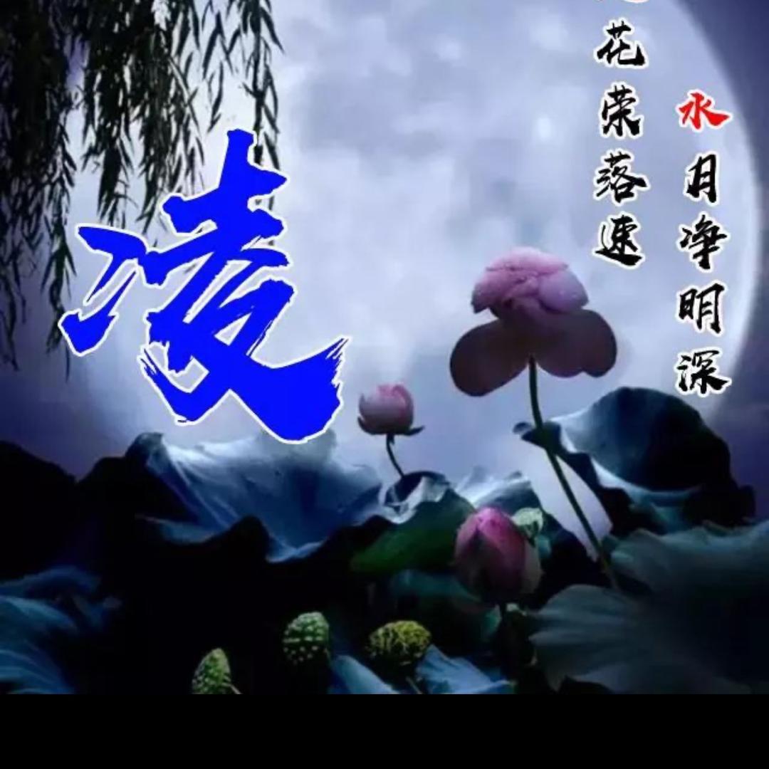 🐂¹⁹₉₇凌℘࿐