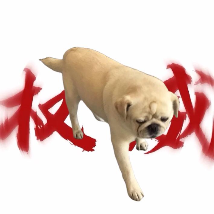 我是傻子，！！