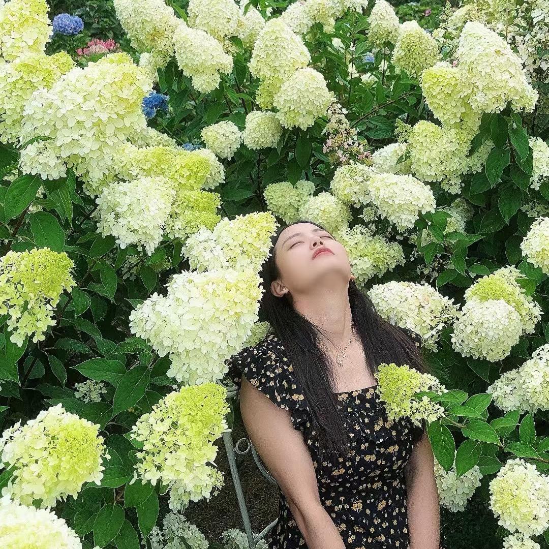 赤橙黄绿青蓝紫的白❓