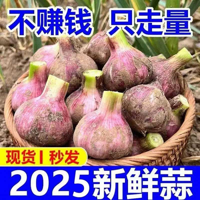 家兴旺百货店