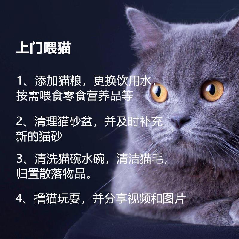 承接上门喂猫/遛狗，寄养