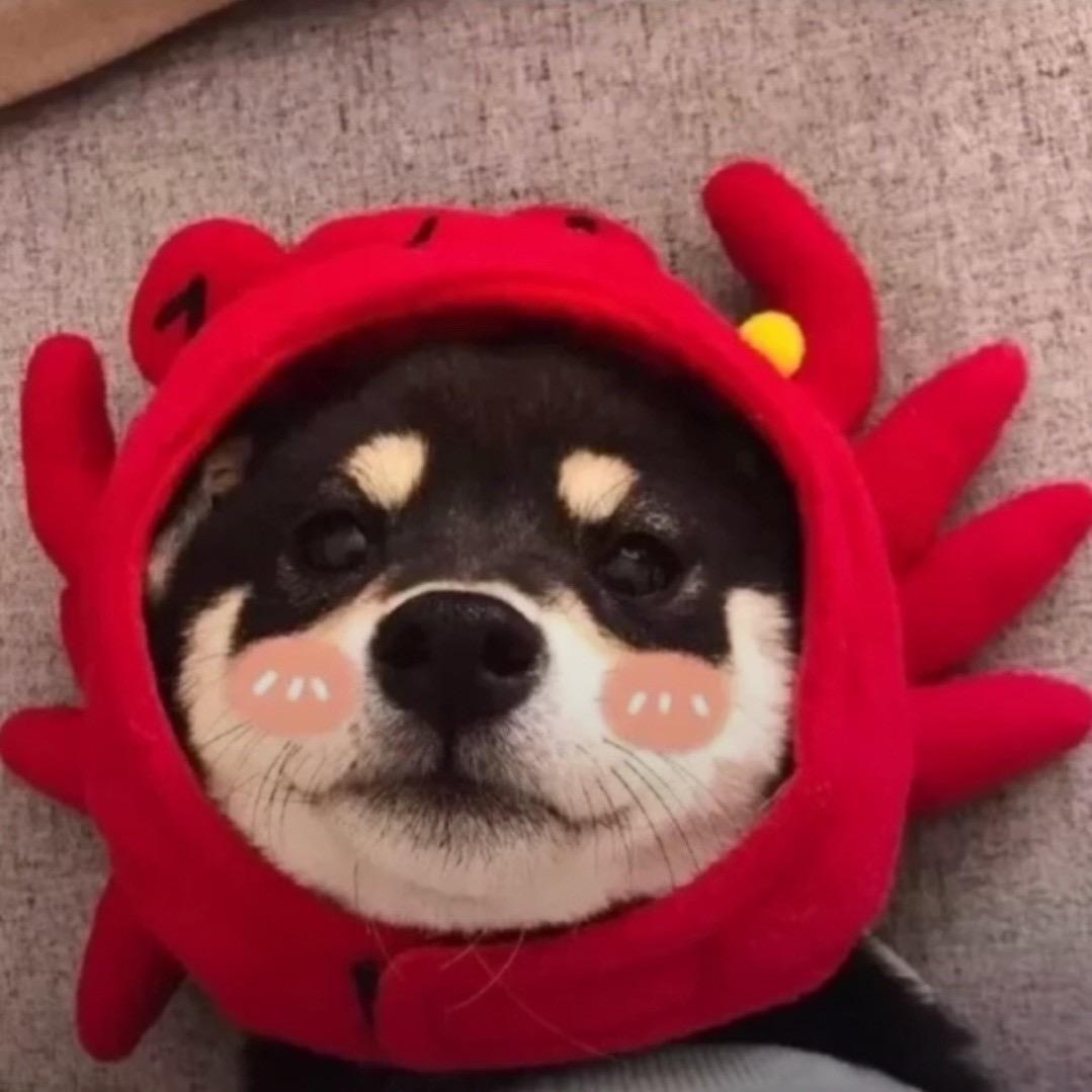 雨下一整🥣⁹¹⁶