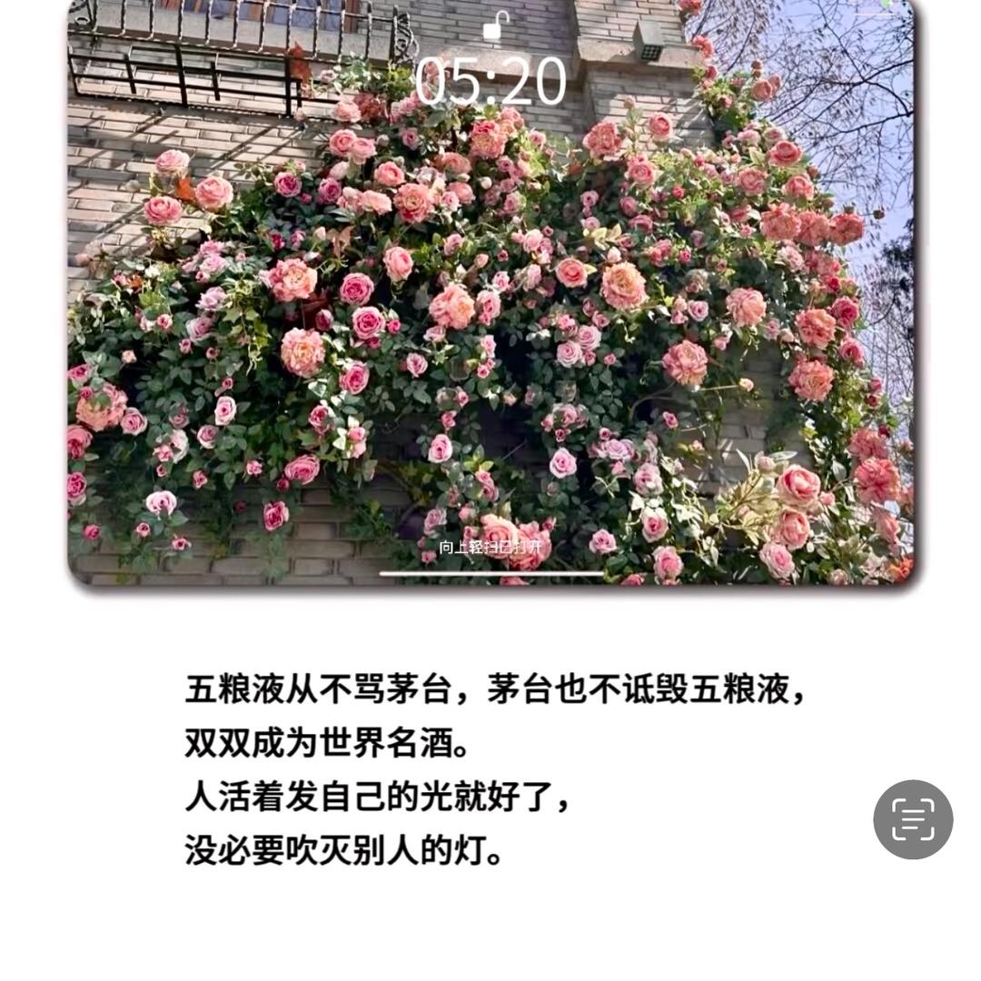 是飞凡