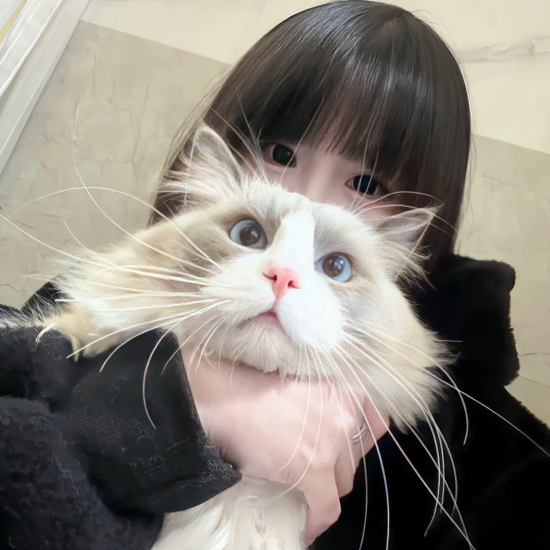 会少