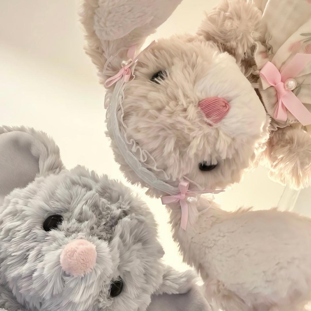 🐰
