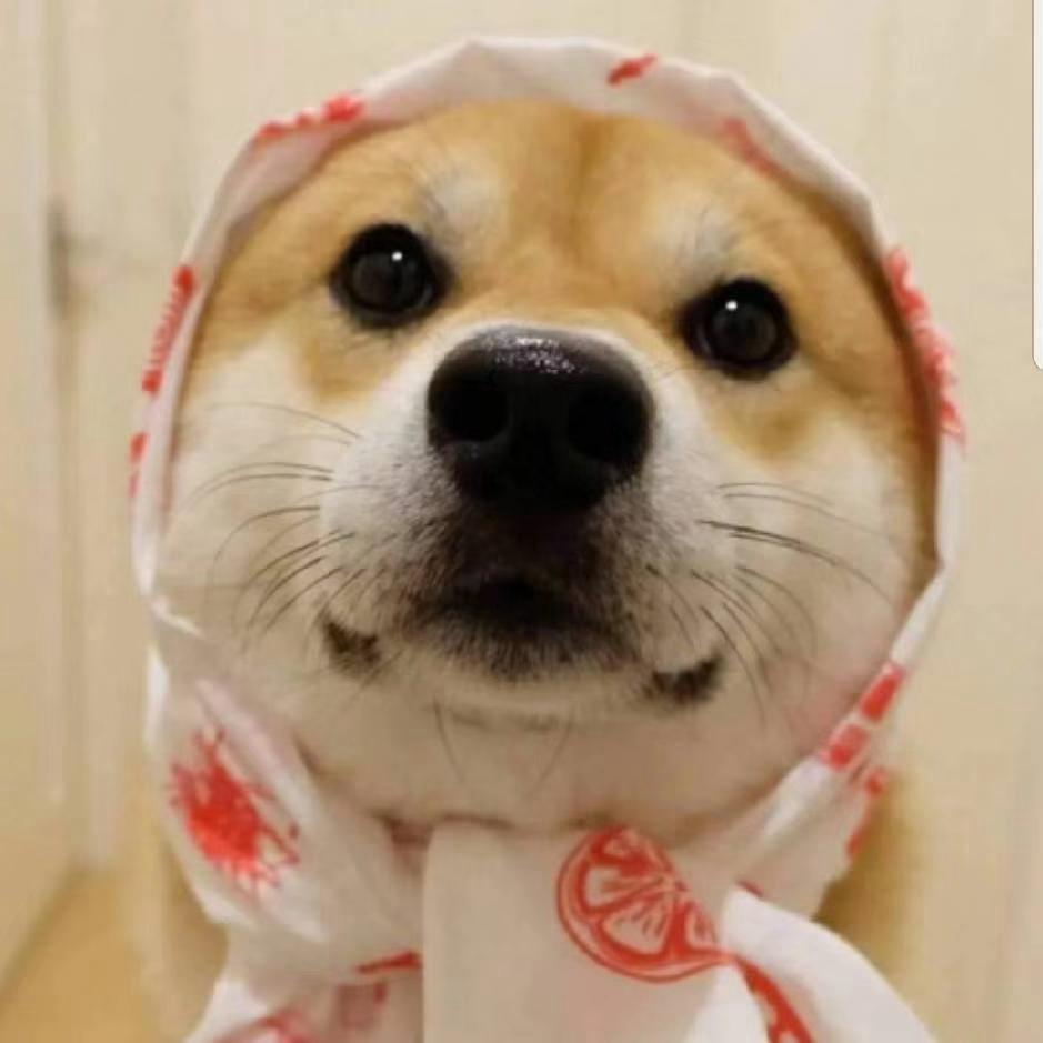 合肥网友