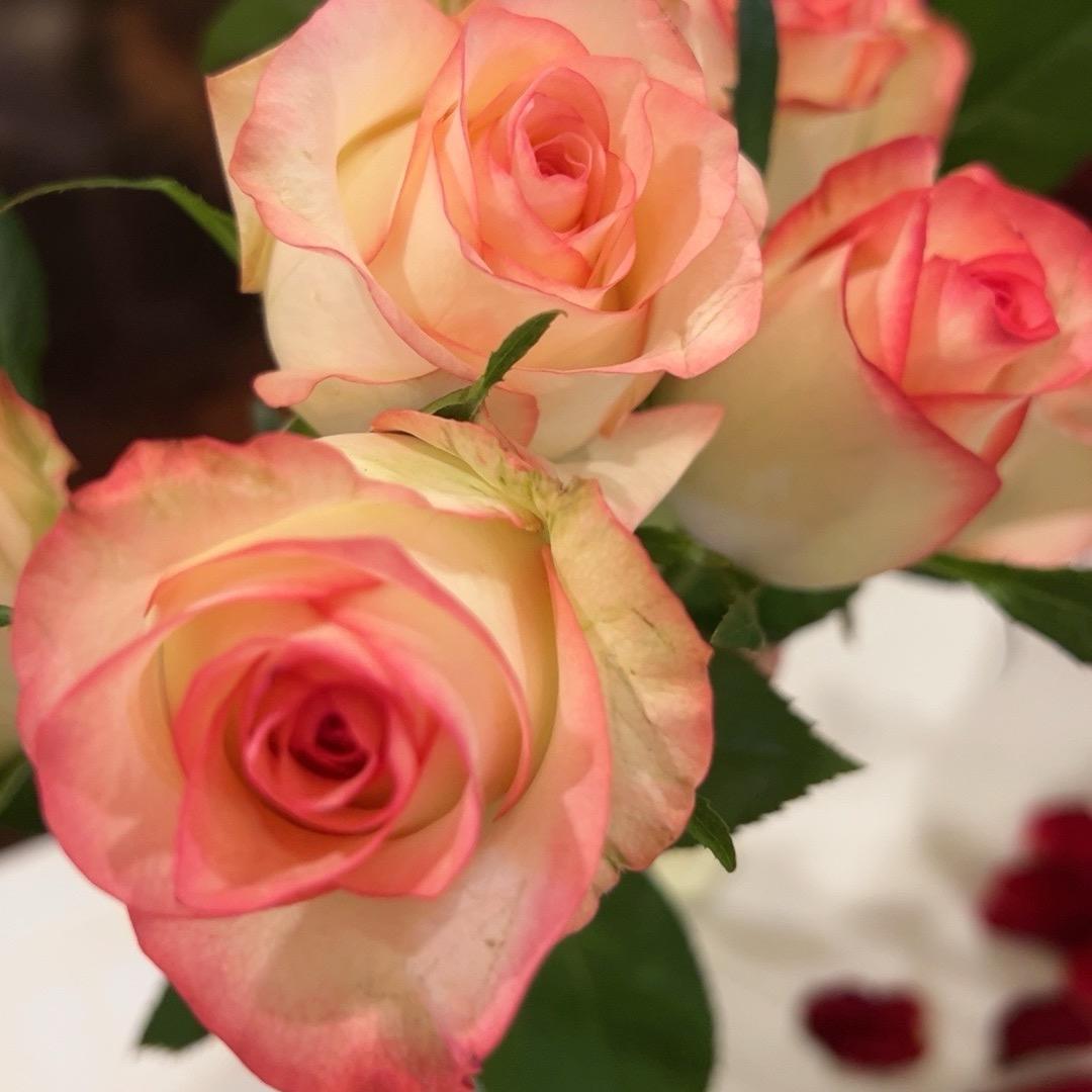 @余生很贵好好珍惜