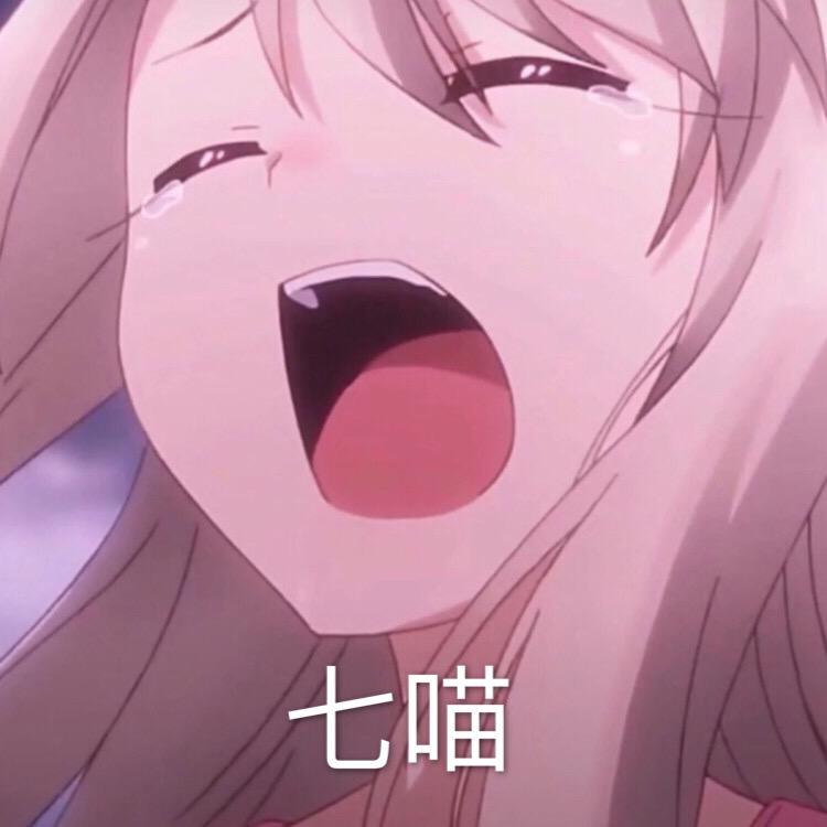 七喵🌸D俱乐部