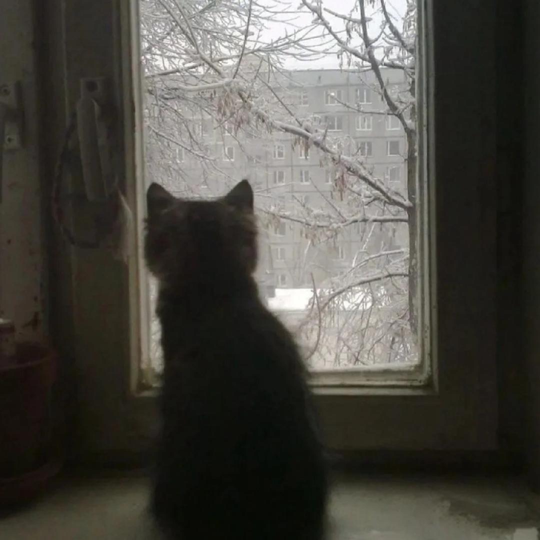 原谅我极强的占有欲