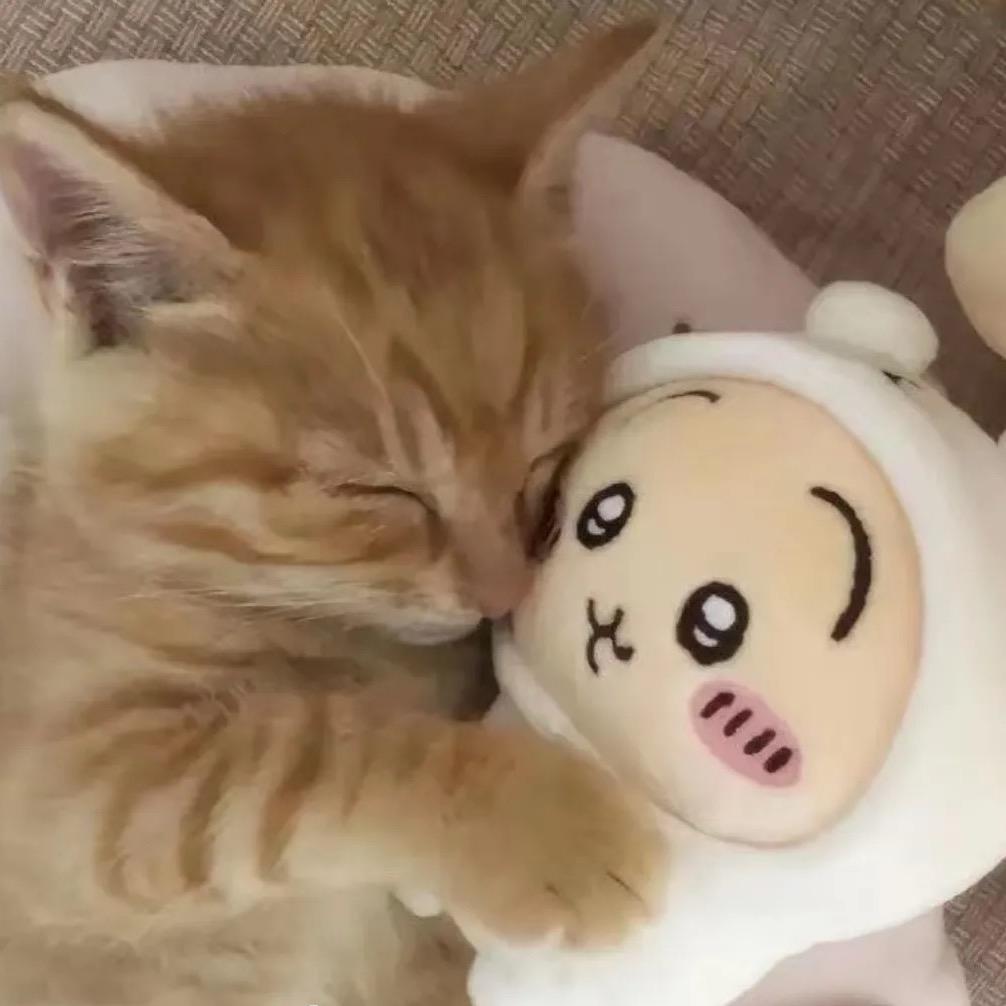 小鱼小鱼快快游