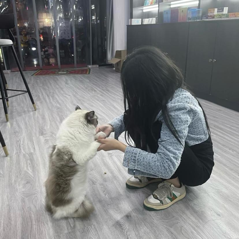 薇大大吖