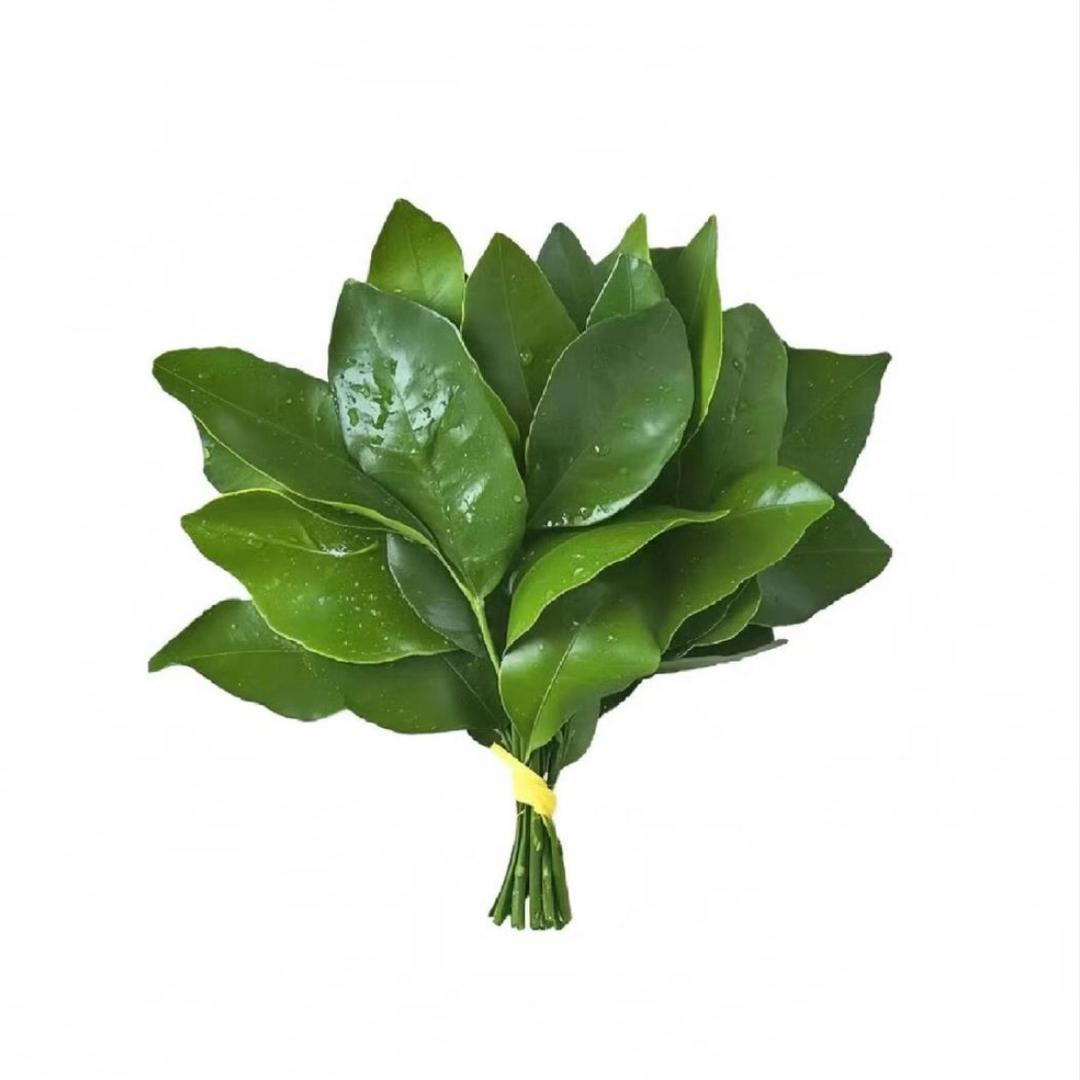 Chen 悅