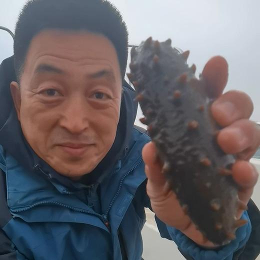 大姐夫的国标海参(源头直发)