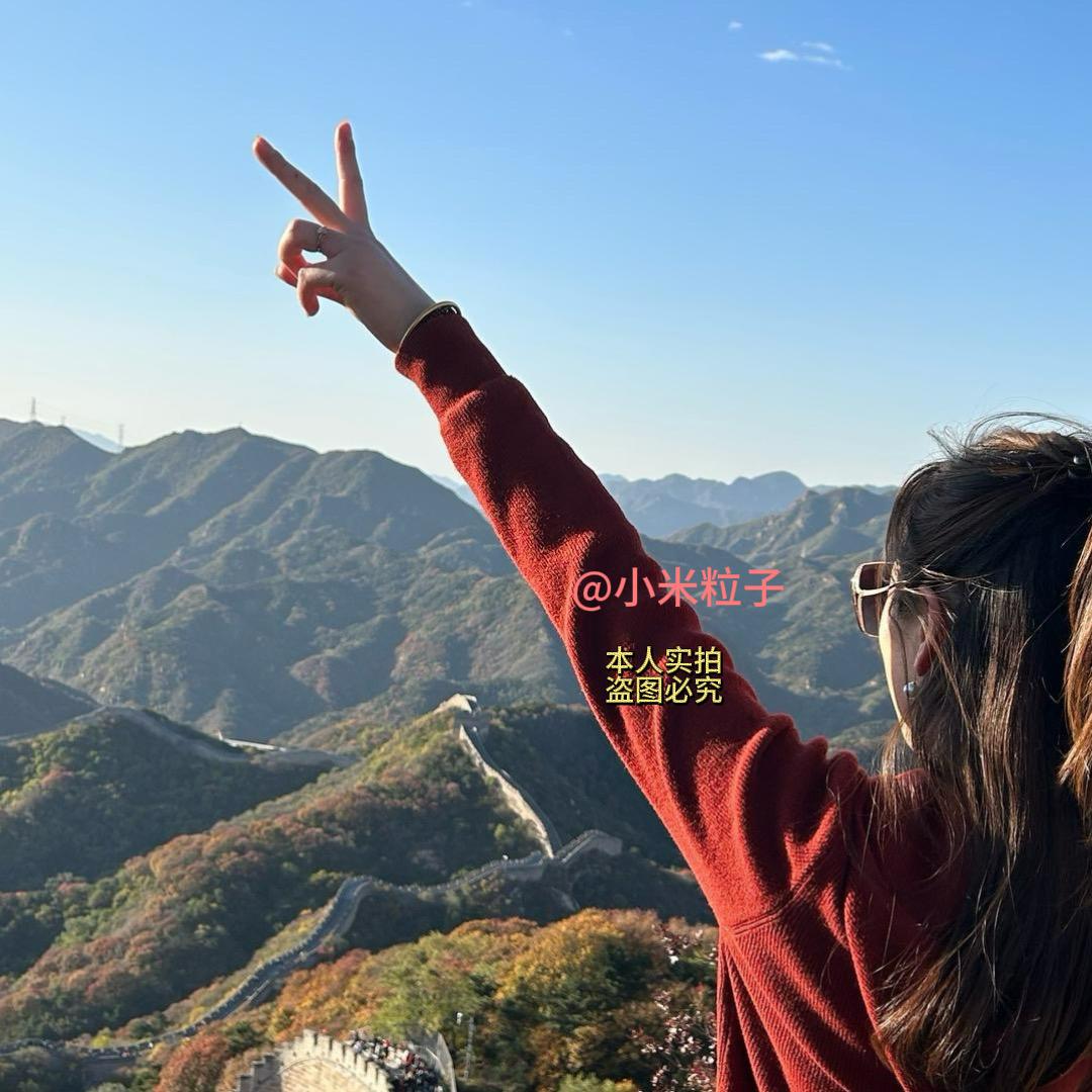 小米粒子