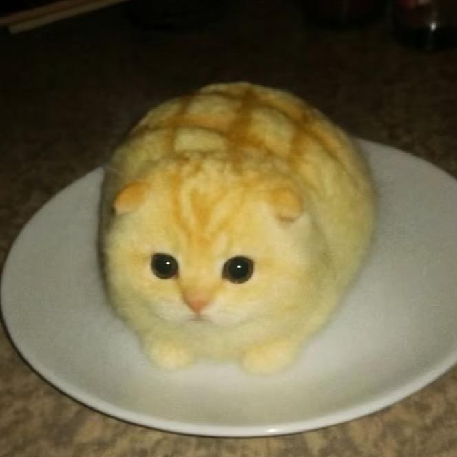 沃煤油树枝布幅酒打倪只吉