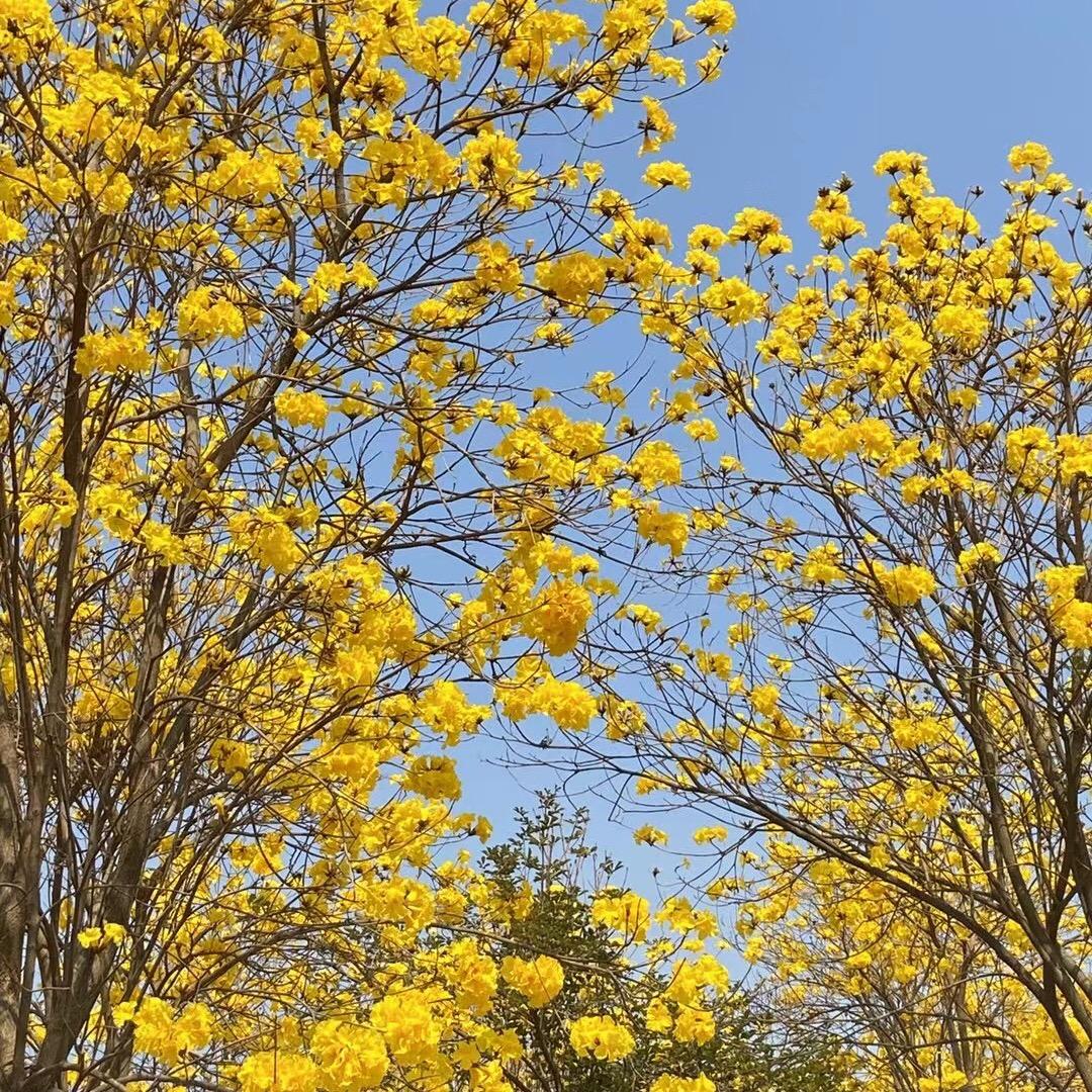 我也不知道叫什么名字