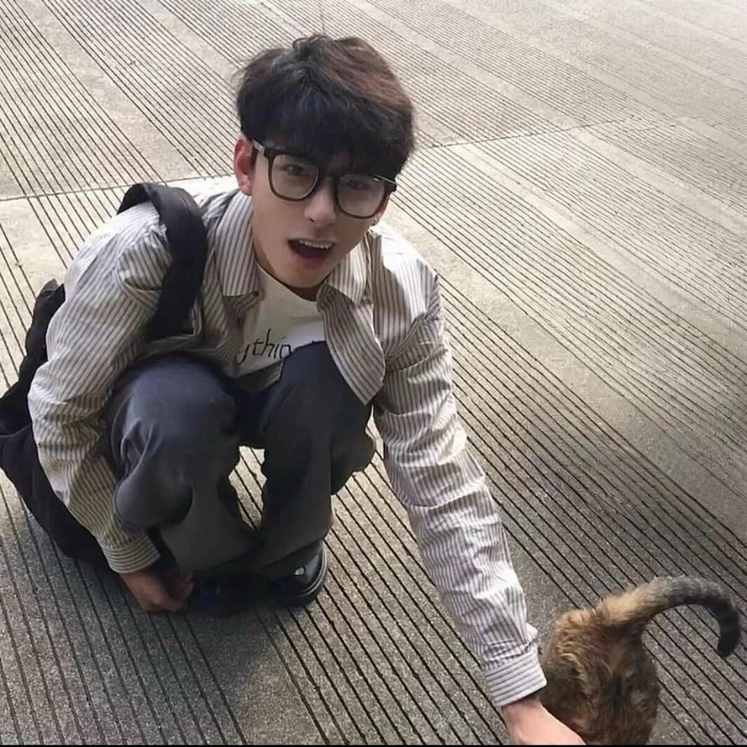 别解开小狗的项圈