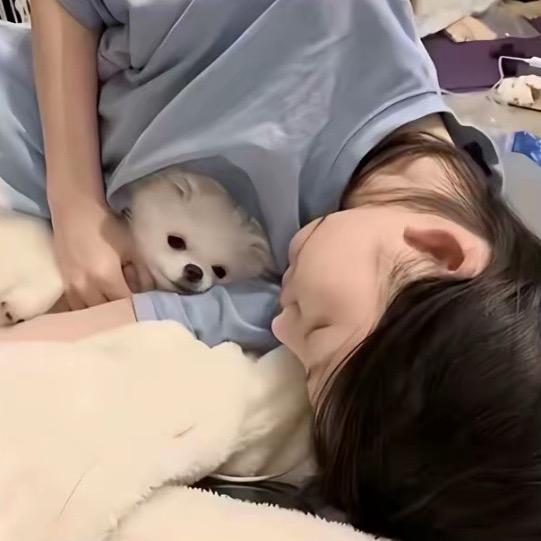 小张.