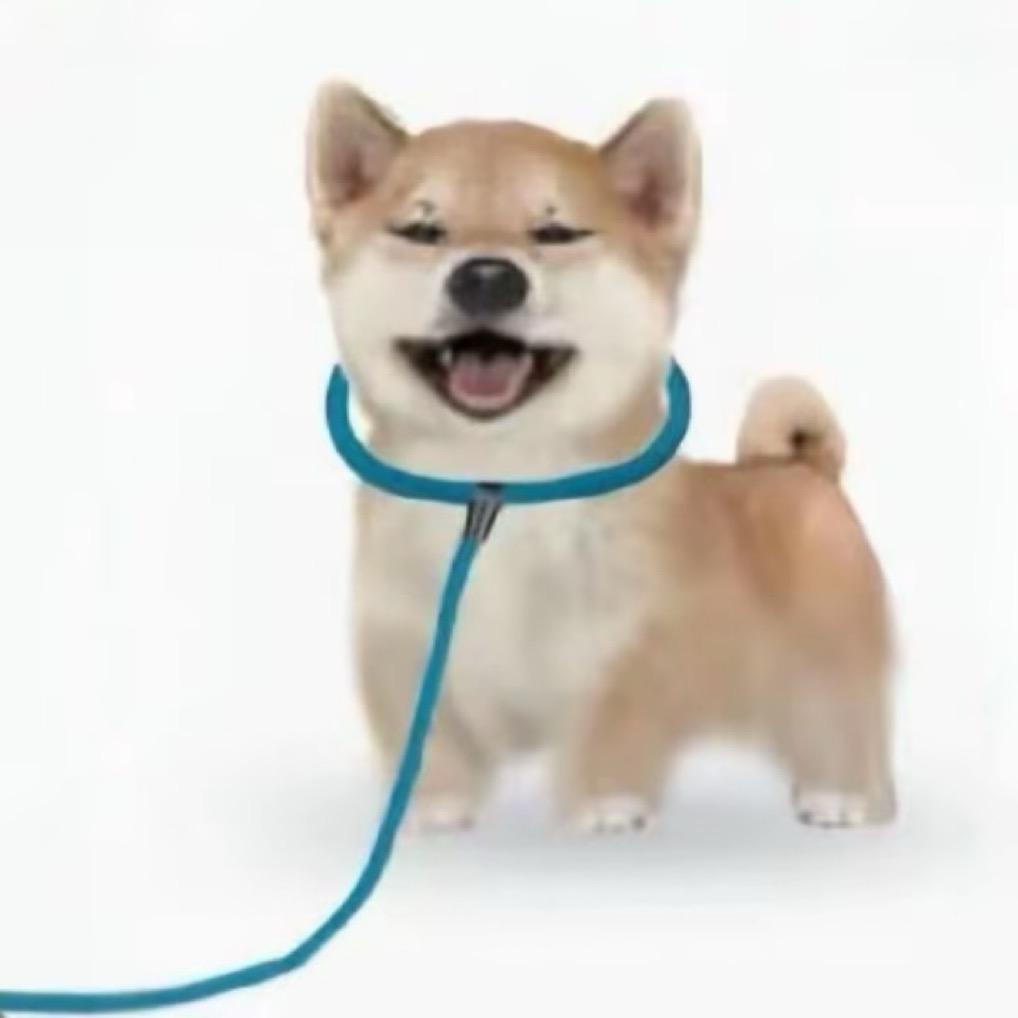 糕冷的杀手