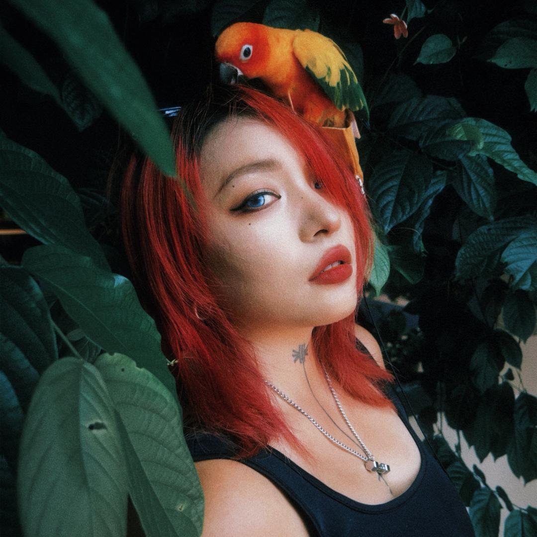 Ava