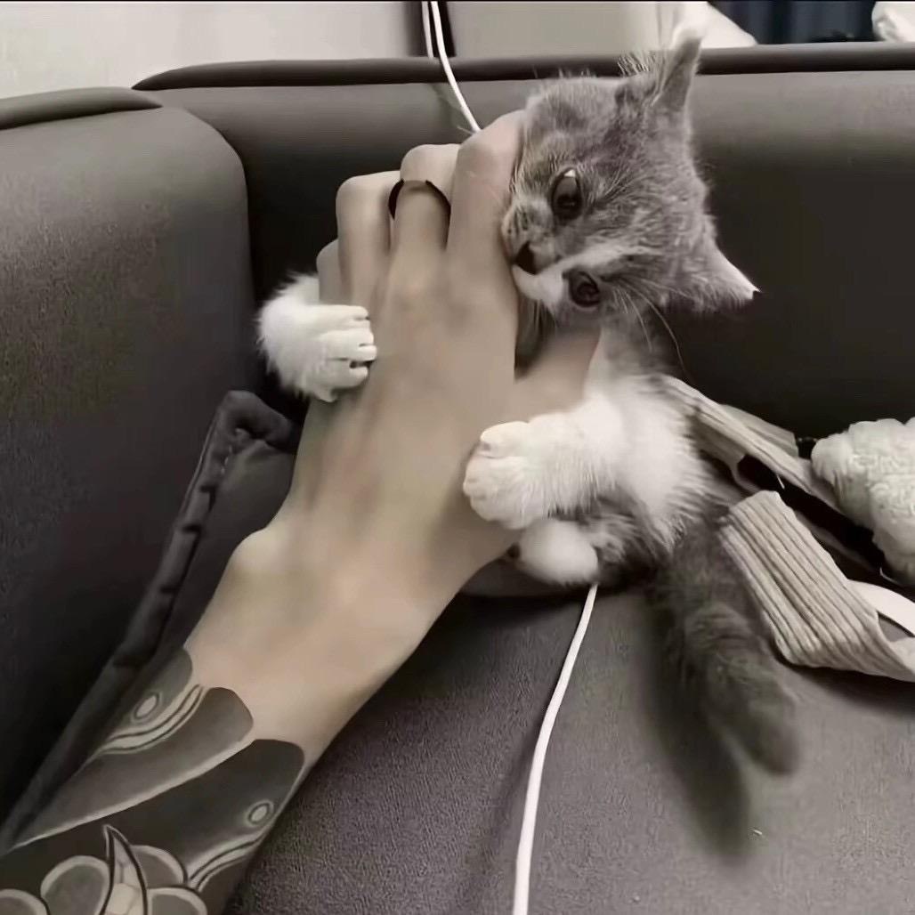 小張同志.🇨🇳