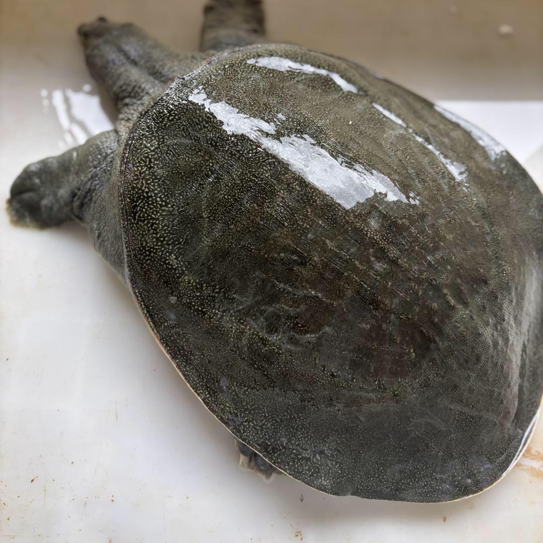 黎川裘记农副优品小铺