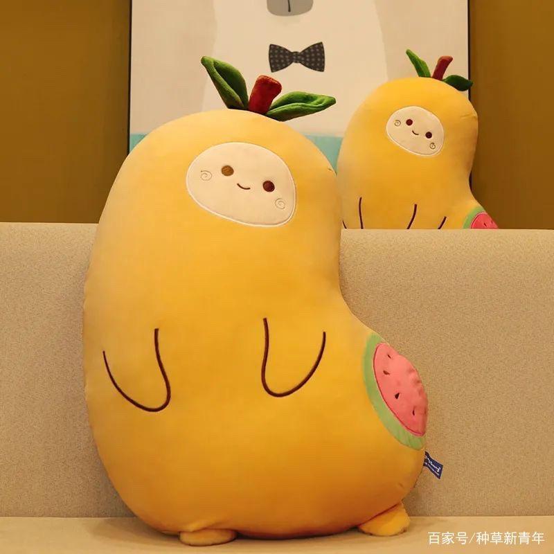 白鹭好物