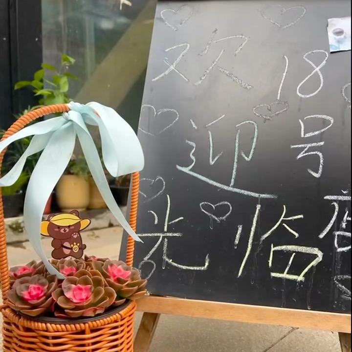 宜兴花鸟市场18号美少女老板