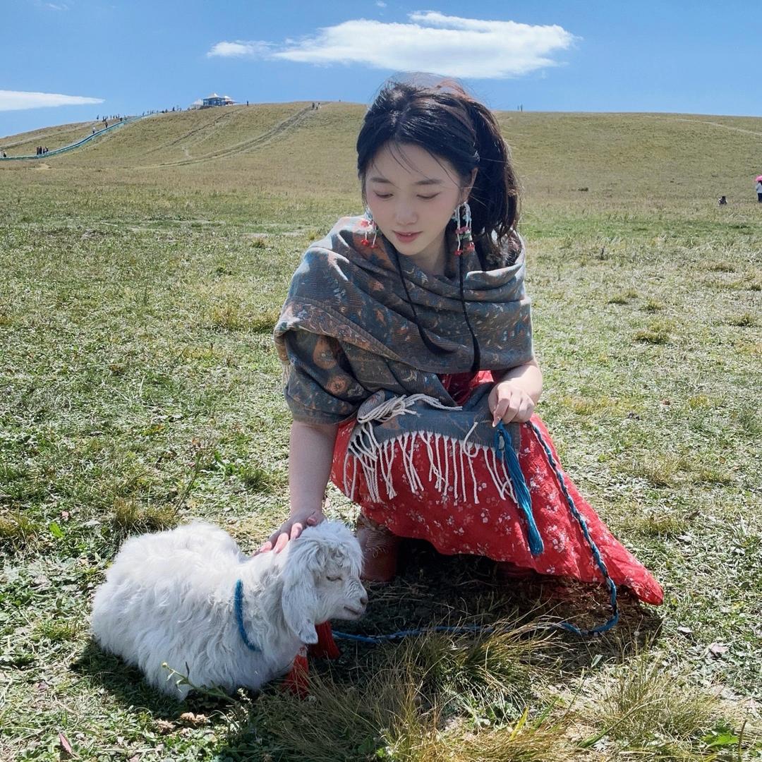 @街边小苦瓜