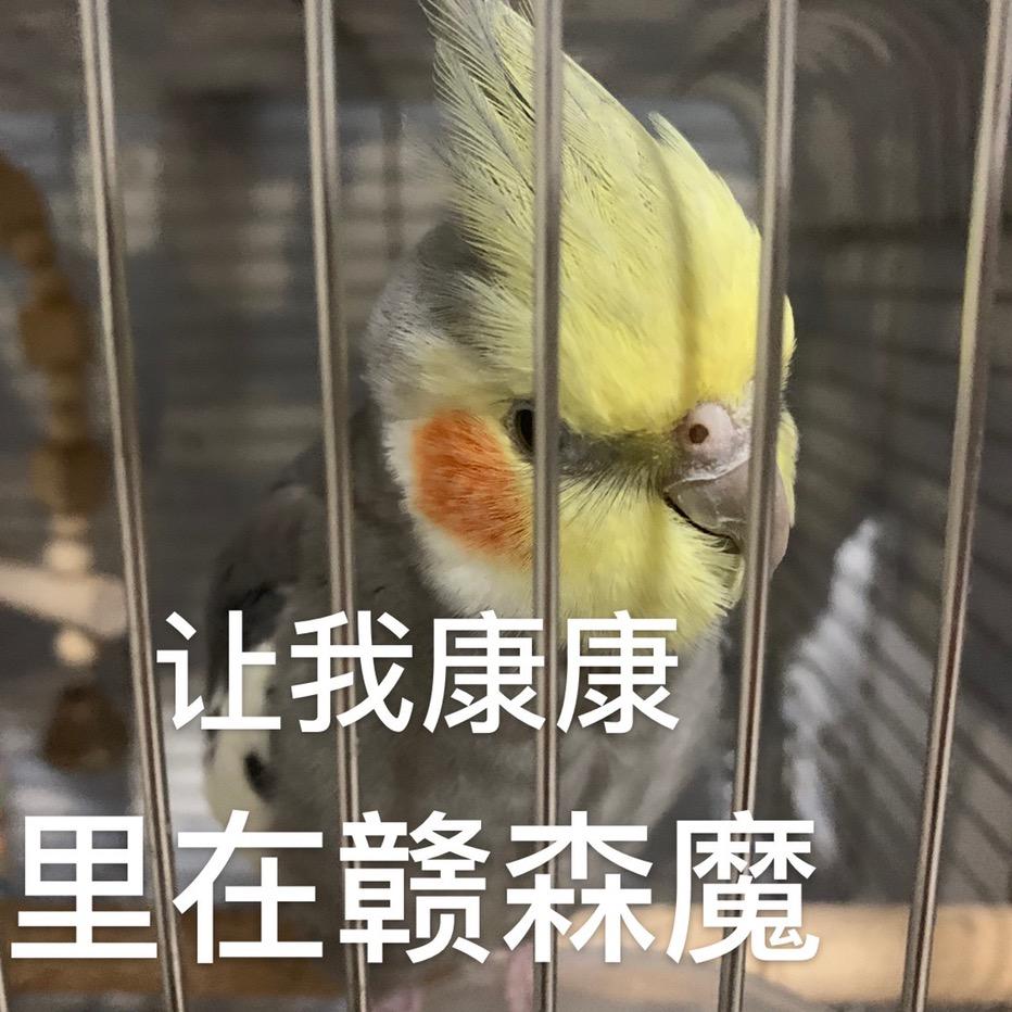 老嘟(许嵩见过4次版