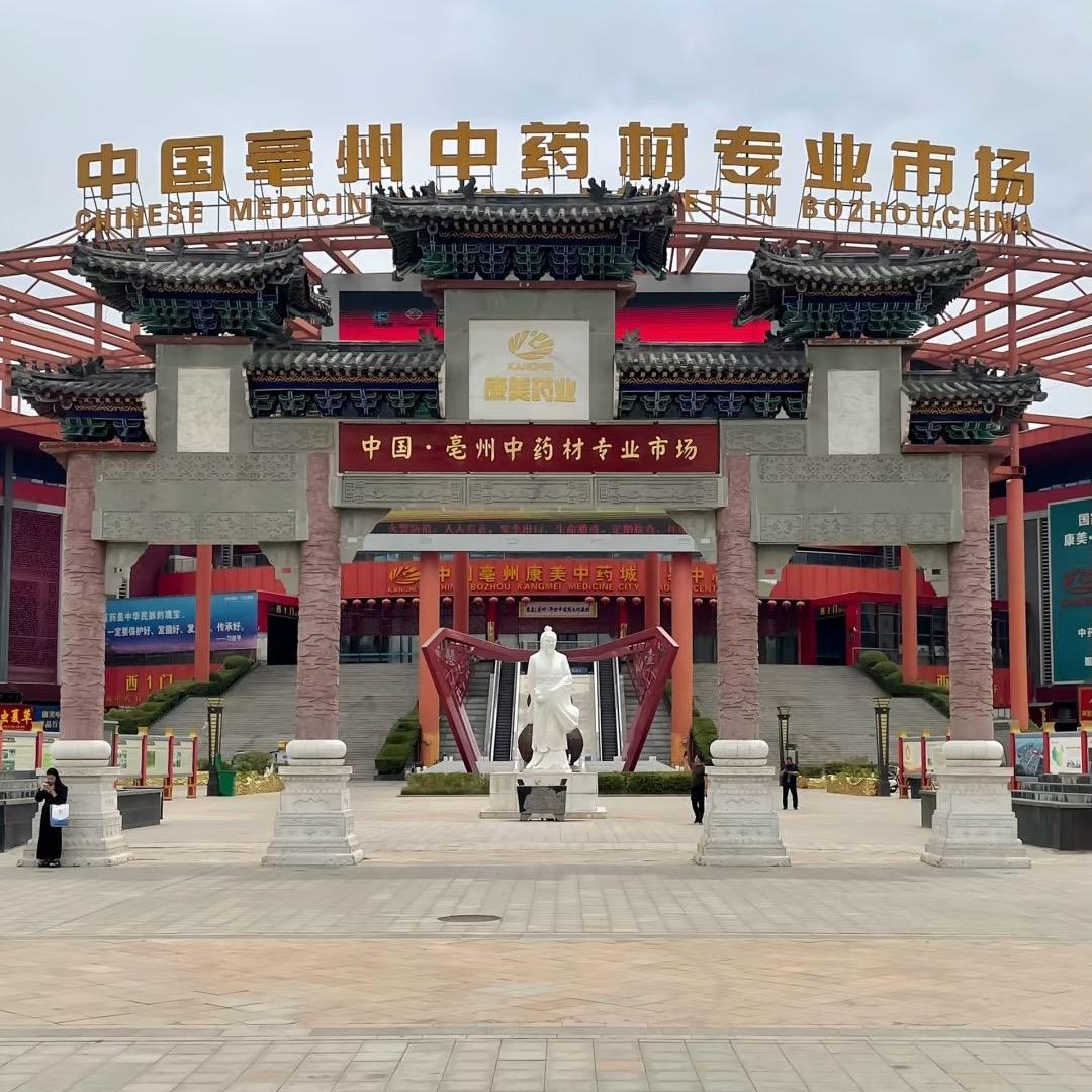 中药材加工
