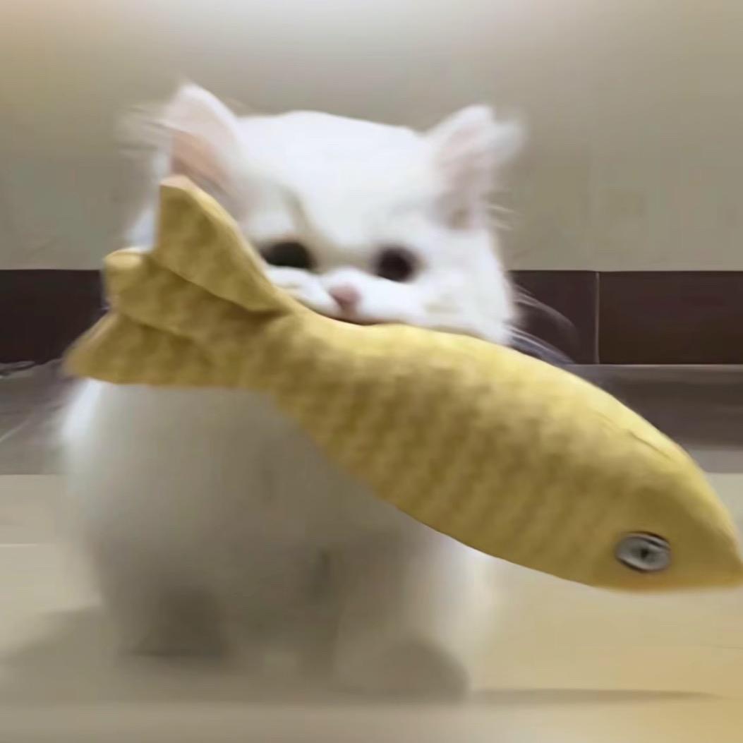 养只猫·