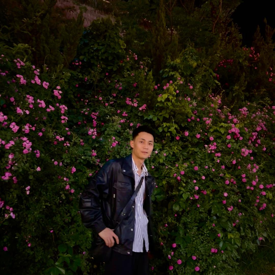 小杨运营记