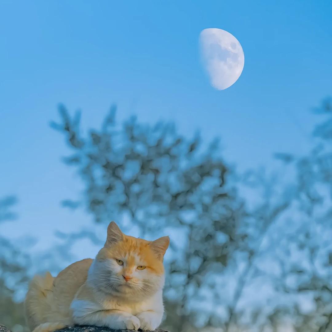 太阳下不说假话