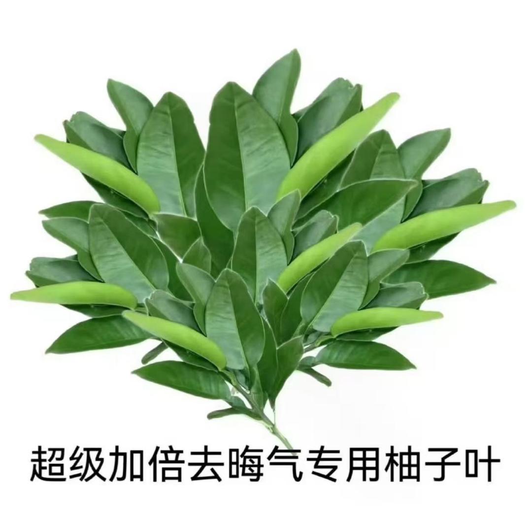 骂你你就受着呗