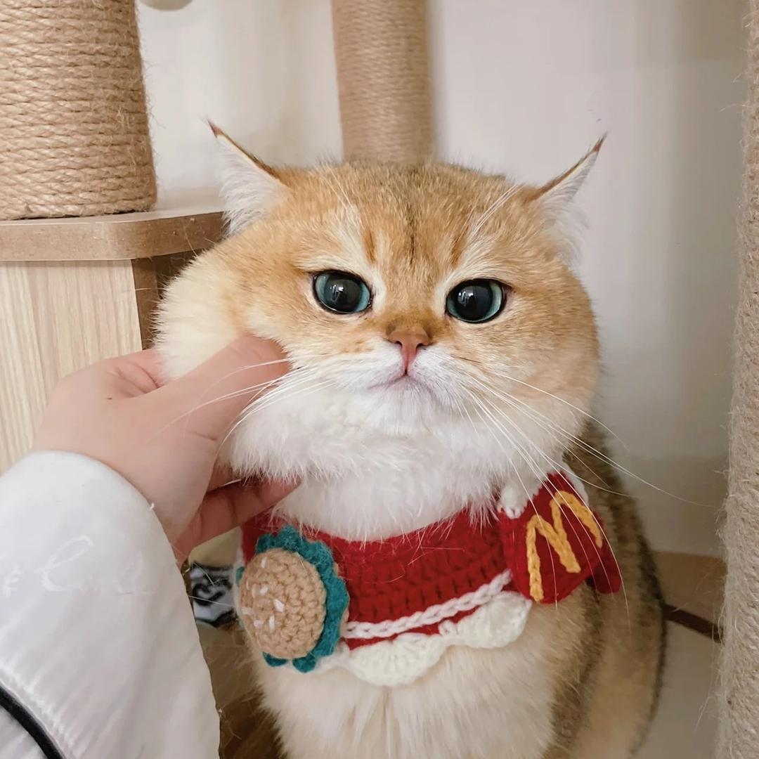 美眉。