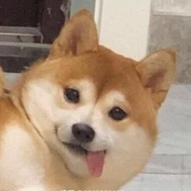 佳佳有点不ok