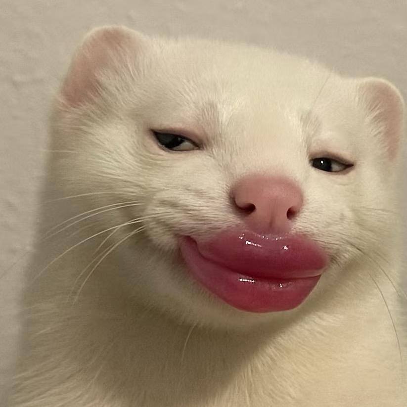 伊利.