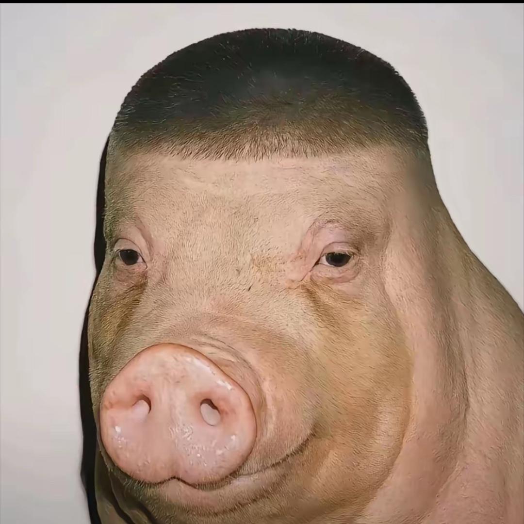 丧彪。