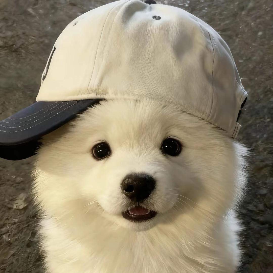 武Miraitowa—的自我修行