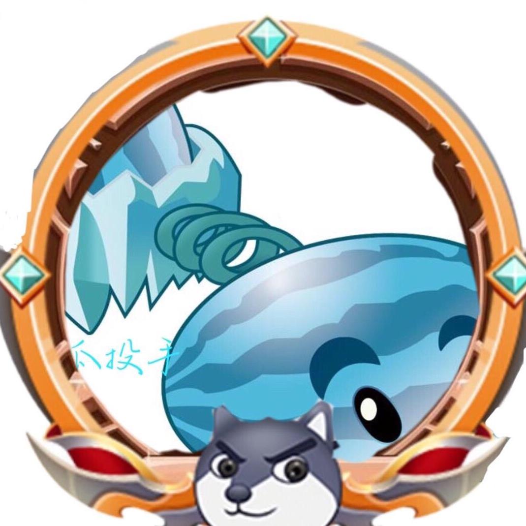 冰瓜Ts
