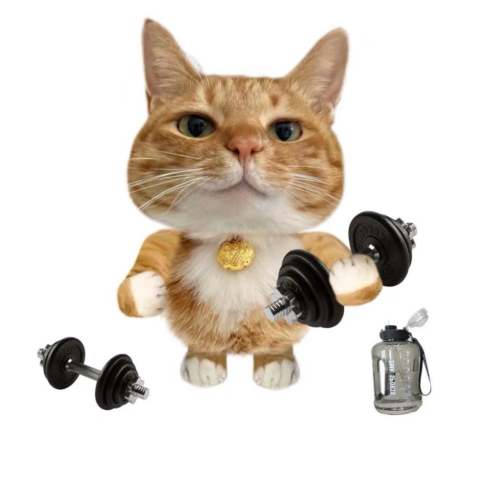 我需要一个好的睡眠